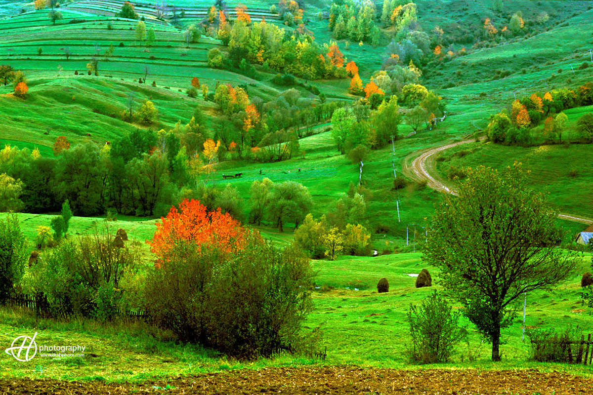colorful landscape